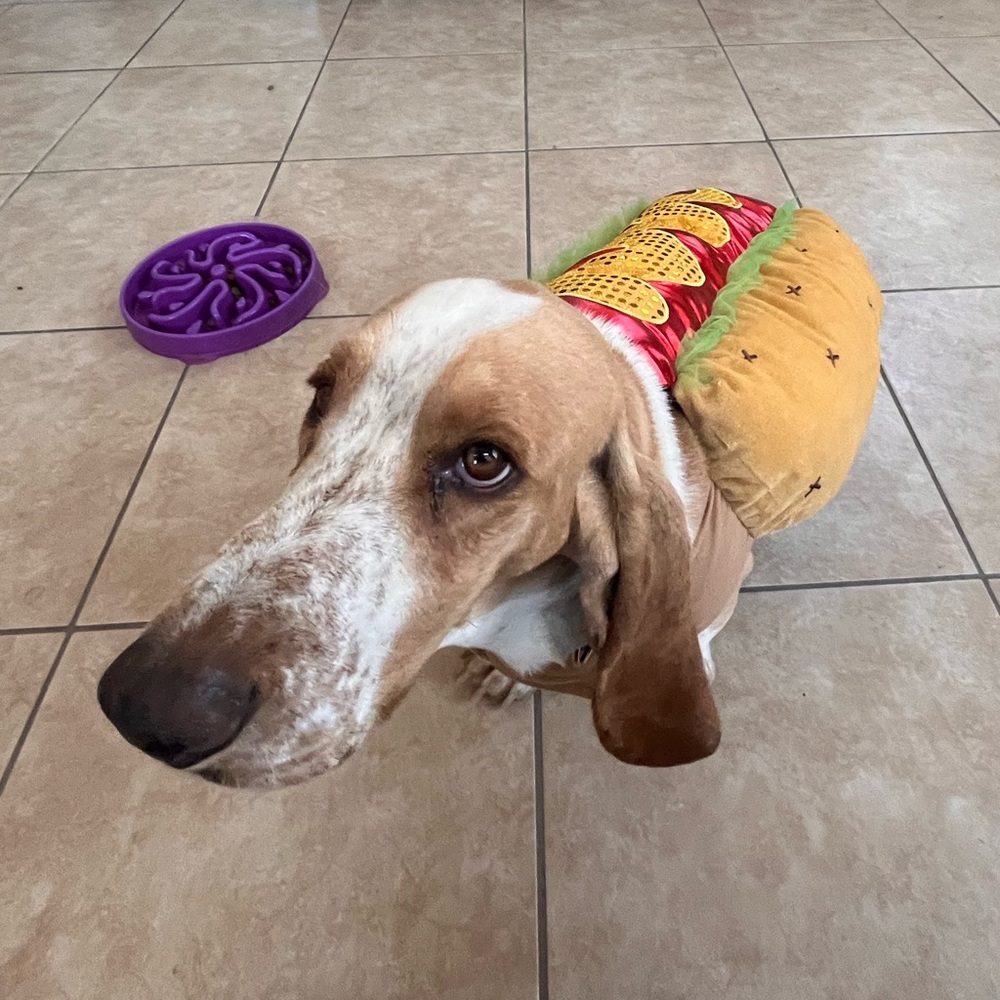 Meet your Posher, Aaron